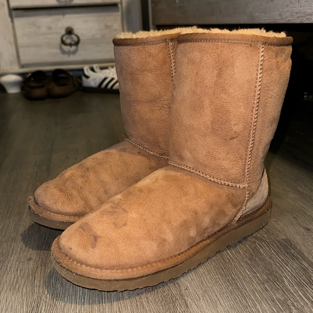 Women's Classic Short II in Chestnut